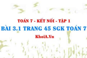 Bài 3.1 trang 45 SGK Toán 7 tập 1 Kết nối tri thức